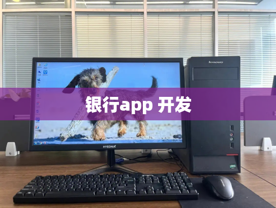 银行app 开发