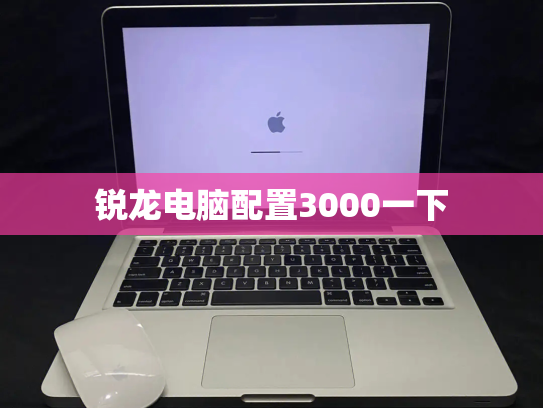 锐龙电脑配置3000一下
