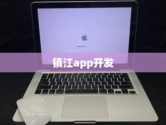 镇江app开发