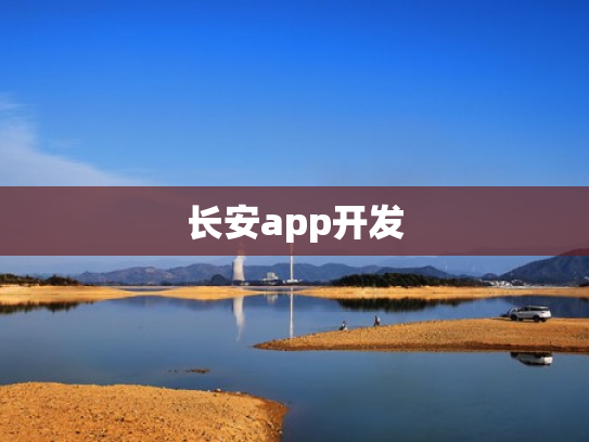 长安app开发