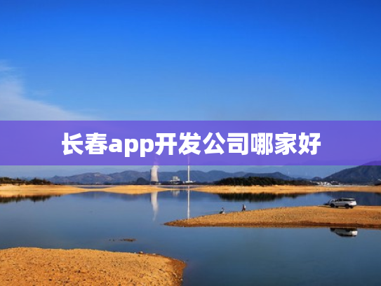 长春app开发公司哪家好