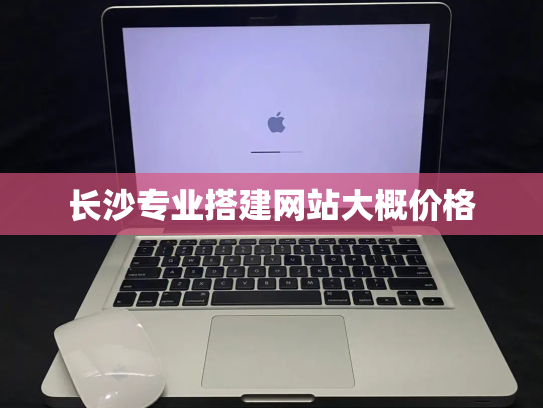 长沙专业搭建网站大概价格