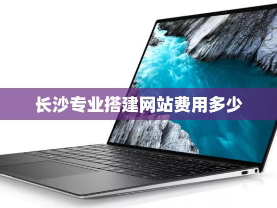 长沙专业搭建网站费用多少
