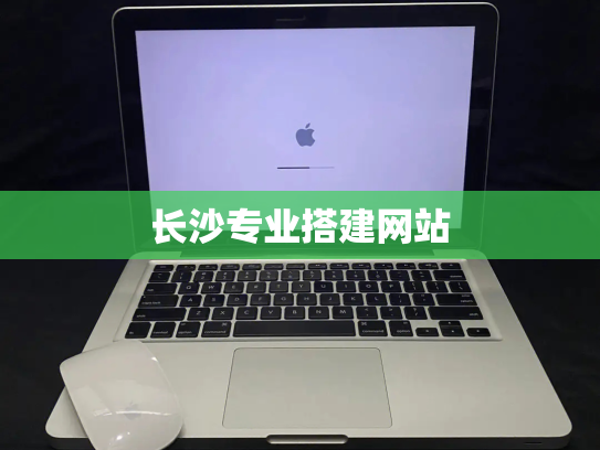 长沙专业搭建网站