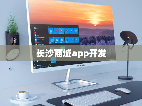 长沙商城app开发