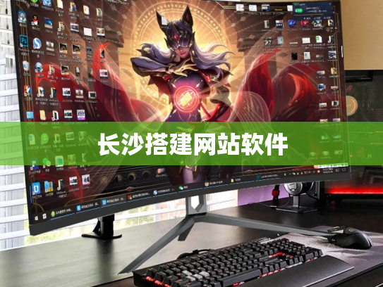 长沙搭建网站软件