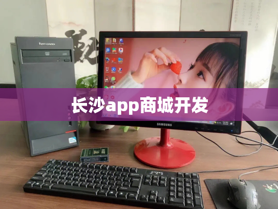 长沙app商城开发