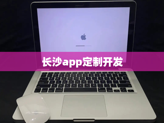 长沙app定制开发
