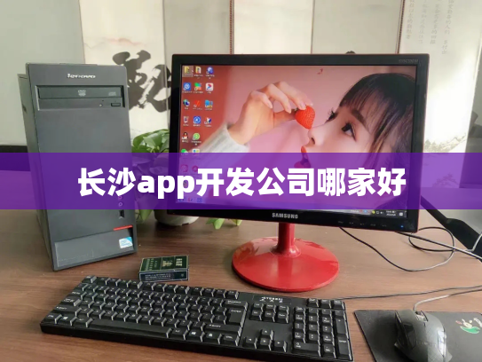 长沙app开发公司哪家好