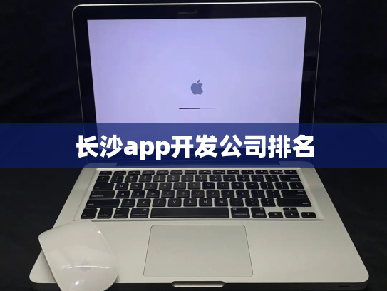 长沙app开发公司排名
