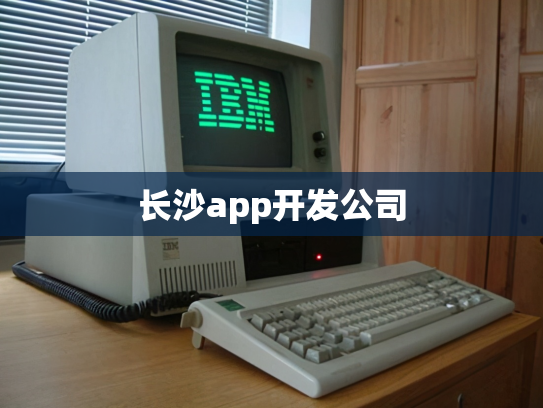 长沙app开发公司