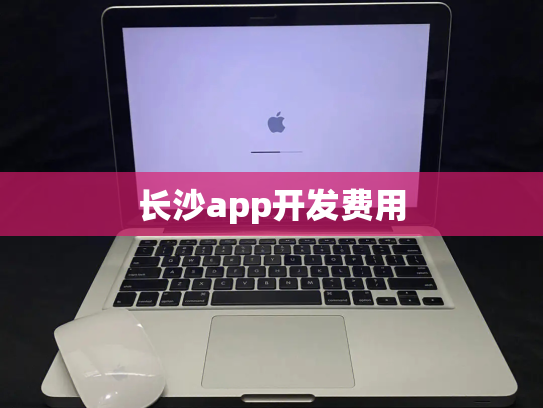 长沙app开发费用