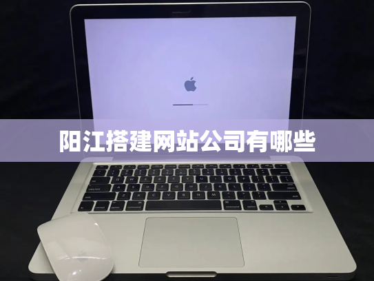 阳江搭建网站公司有哪些