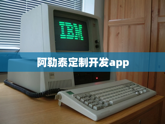 阿勒泰定制开发app