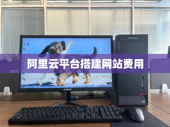 阿里云平台搭建网站费用