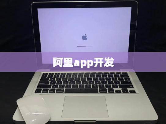 阿里app开发