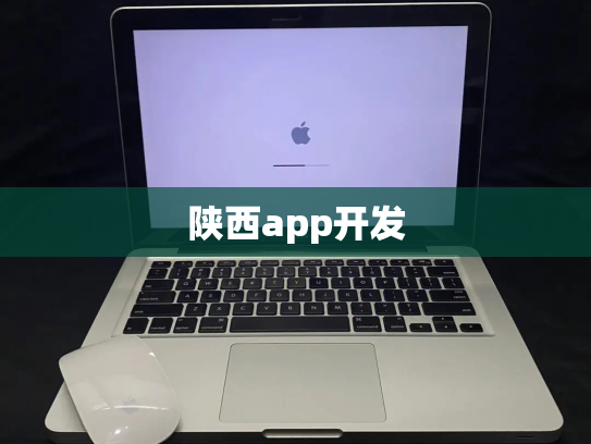 陕西app开发