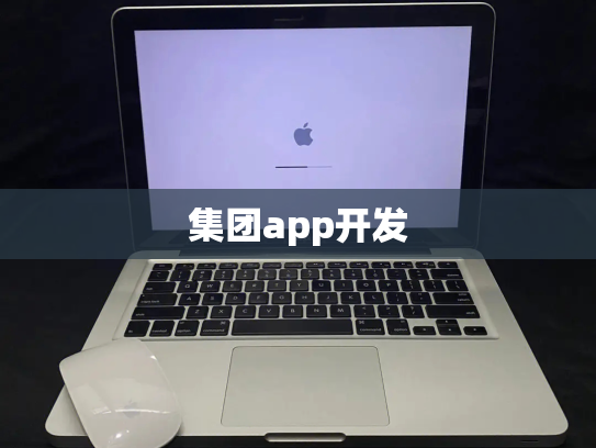 集团app开发