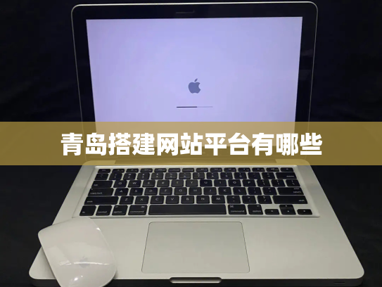 青岛搭建网站平台有哪些