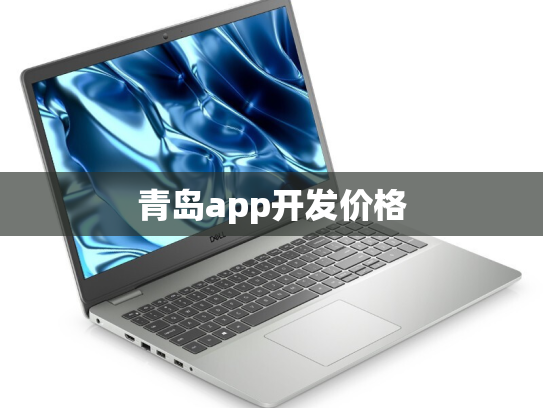青岛app开发价格