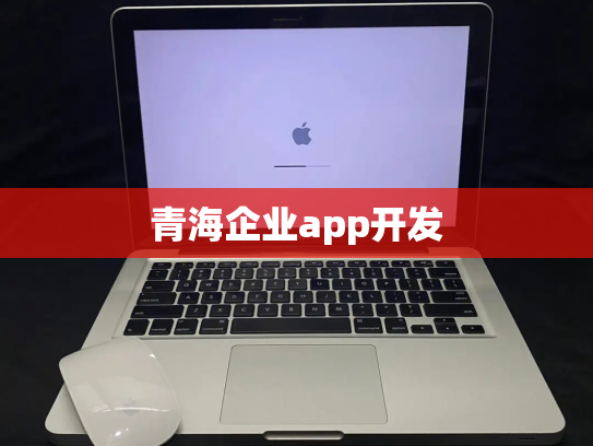 青海企业app开发