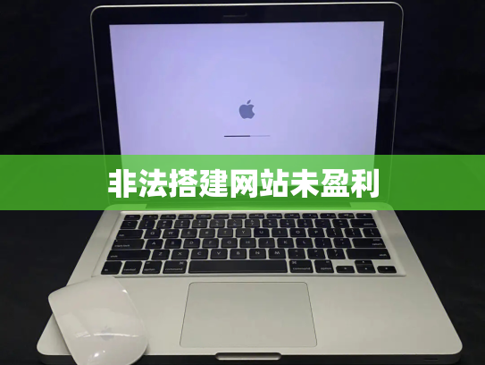 非法搭建网站未盈利