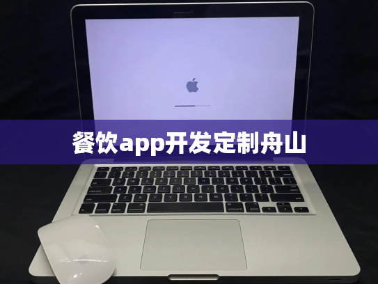餐饮app开发定制舟山