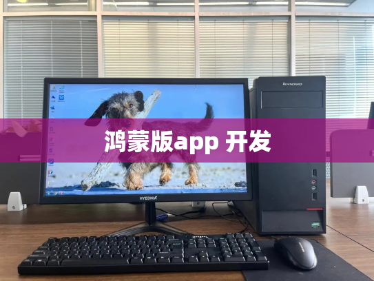 鸿蒙版app 开发