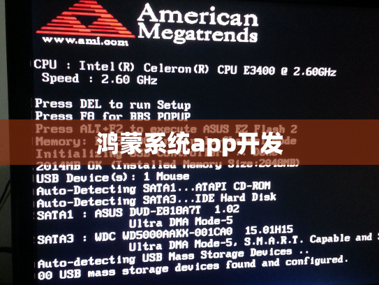 鸿蒙系统app开发
