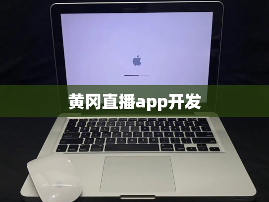 黄冈直播app开发