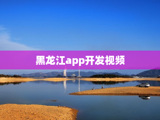 黑龙江app开发视频