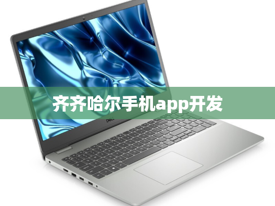 齐齐哈尔手机app开发