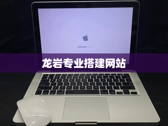龙岩专业搭建网站