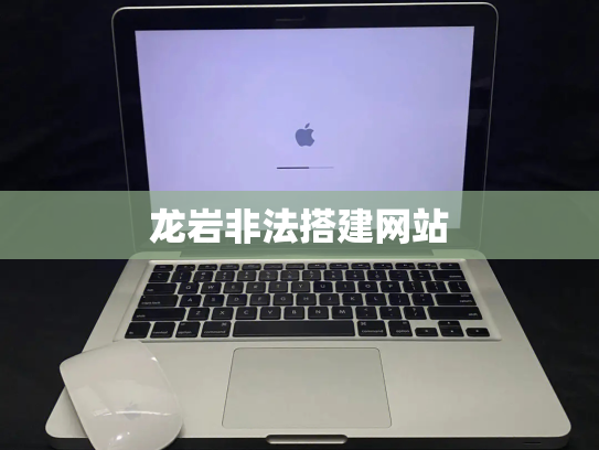 龙岩非法搭建网站