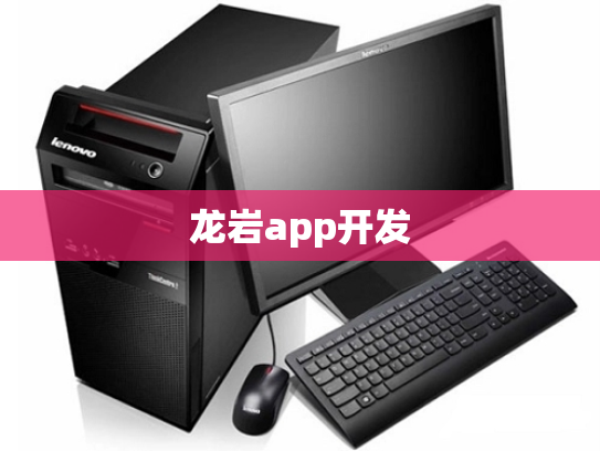 龙岩app开发