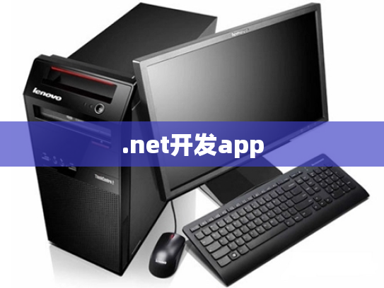 .net开发app