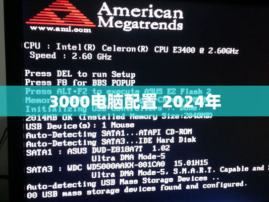 3000电脑配置 2024年