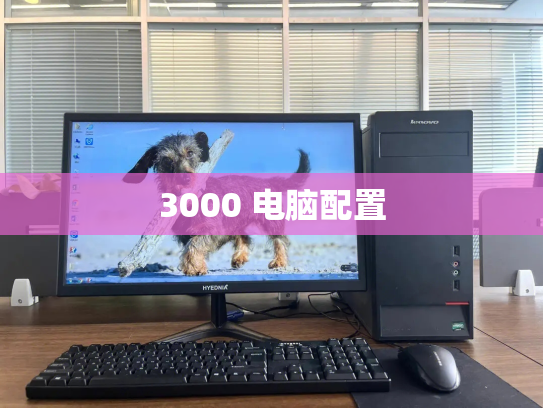 3000 电脑配置