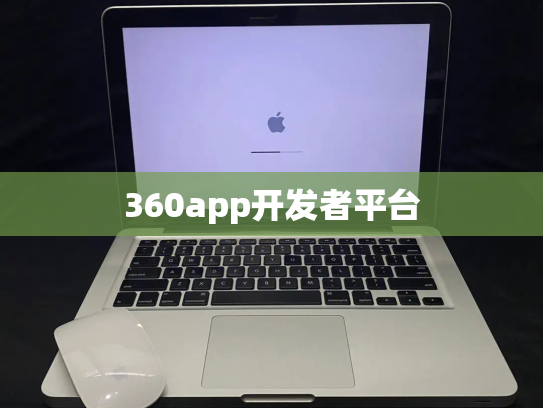360app开发者平台