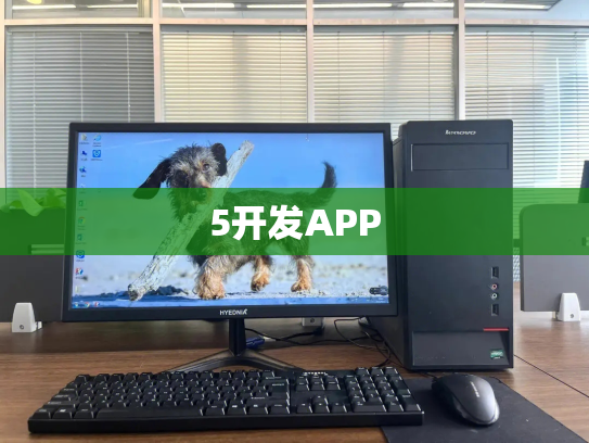 5开发APP