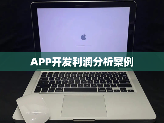 APP开发利润分析案例