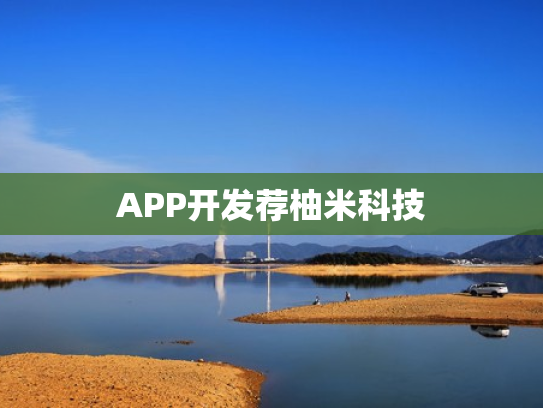 APP开发荐柚米科技