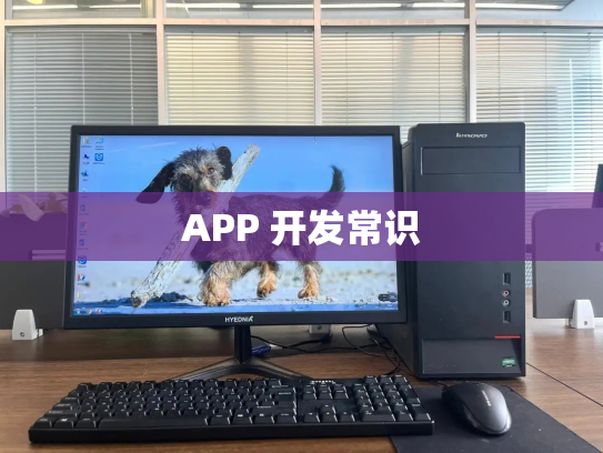 APP 开发常识