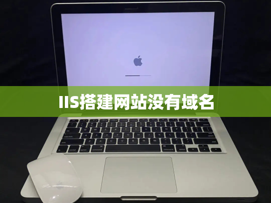 IIS搭建网站没有域名