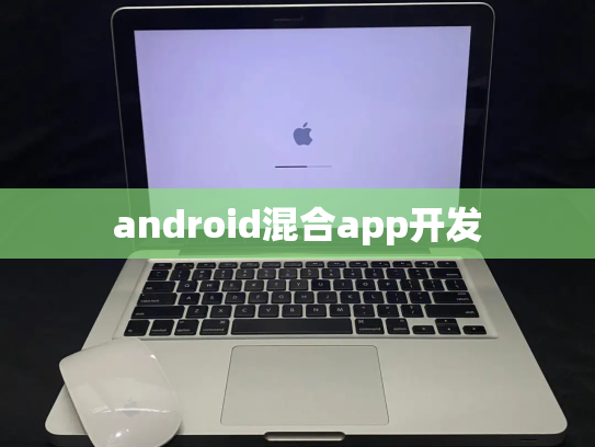 android混合app开发