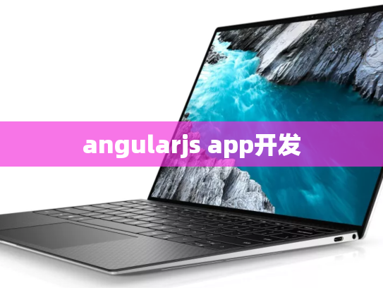angularjs app开发