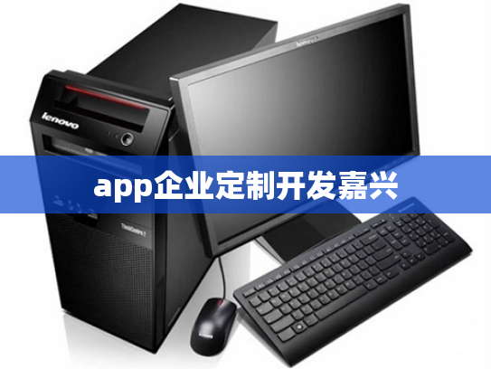app企业定制开发嘉兴