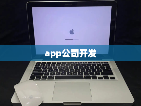 app公司开发