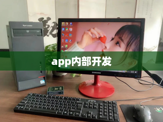 app内部开发
