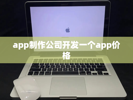 app制作公司开发一个app价格